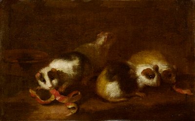 Guinea Pigs in a Landscape, Genoese School by Unbekannt Unbekannt